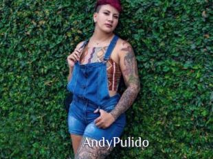 AndyPulido