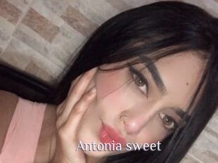 Antonia_sweet
