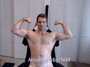 AttorneyMischief