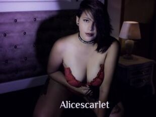 Alicescarlet