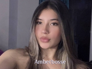 Amberbosse