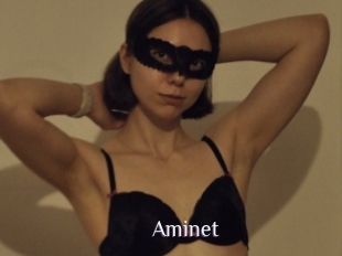 Aminet