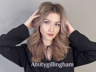 Amitygillingham