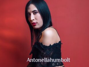 Antonellahumbolt