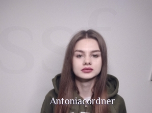 Antoniacordner