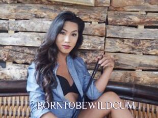 BORNTOBEWILDCUM