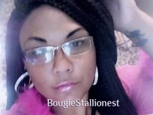 BougieStallionest