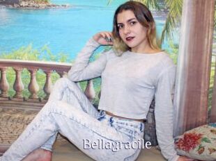Bellagracile