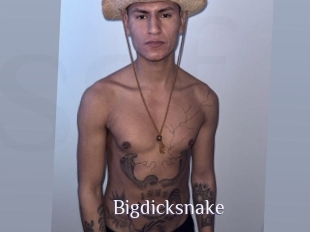 Bigdicksnake