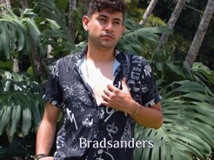 Bradsanders