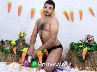 Brunosains