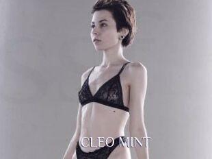 CLEO_MINT
