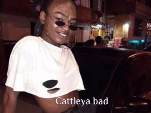 Cattleya_bad