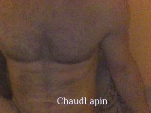ChaudLapin