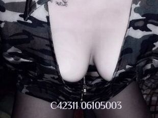 C42311-06105003