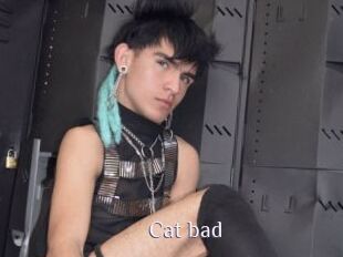Cat_bad