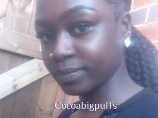 Cocoabigpuffs