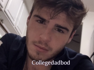 Collegedadbod