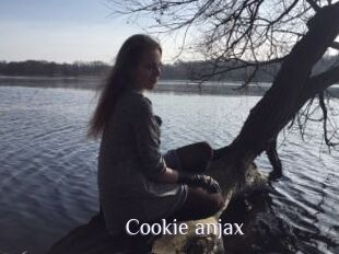 Cookie_anjax