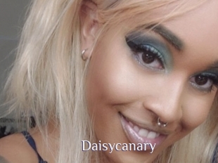 Daisycanary