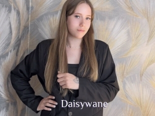 Daisywane