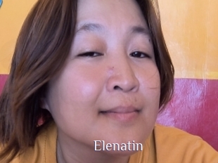 Elenatin
