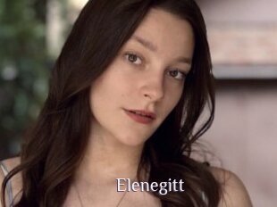 Elenegitt