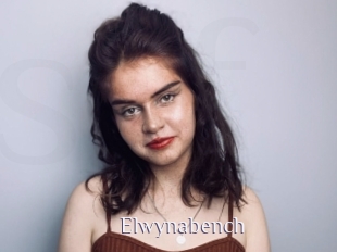 Elwynabench