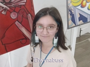 Elwynabuss