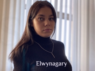 Elwynagary