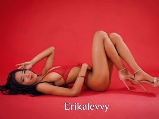 Erikalevvy