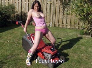 Feuchteywi