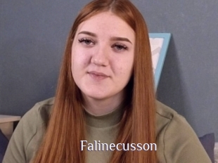 Falinecusson