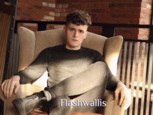 Flashwallis