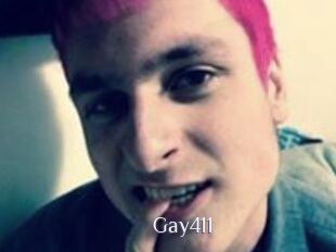 Gay411