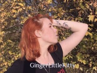 GingerLittleKitty