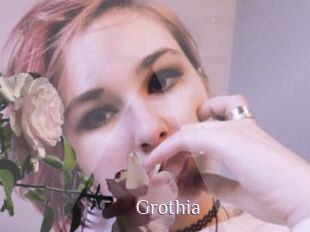 Grothia