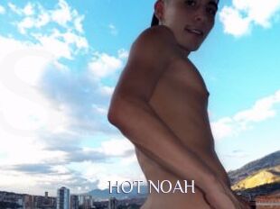HOT_NOAH
