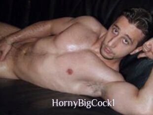 HornyBigCock1