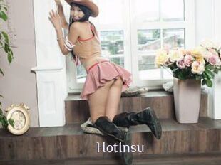 HotInsu