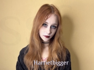 Harrietbigger