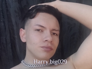 Harry_big029