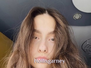 Hollisgarney