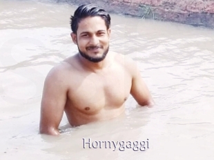 Hornygaggi