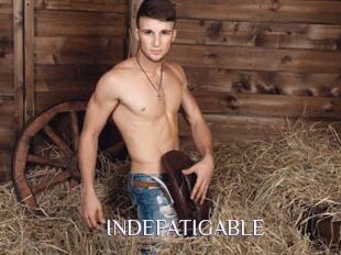 INDEFATIGABLE