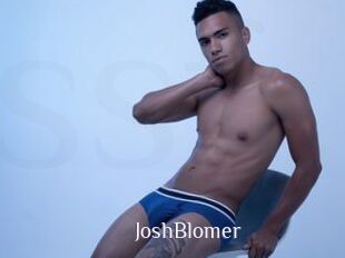 JoshBlomer