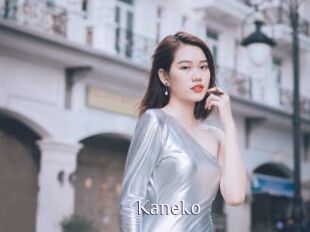 Kaneko