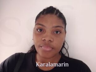 Karalamarin