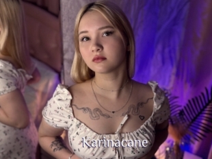 Karinacane
