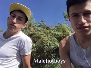 Malehotboys
